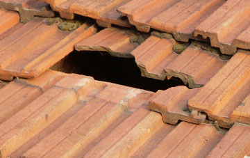 roof repair Sluggan, Highland